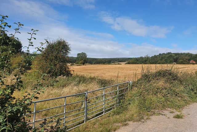 Campaigners want plans to build 3,000 homes on green belt land at Whyburn Farm stopped