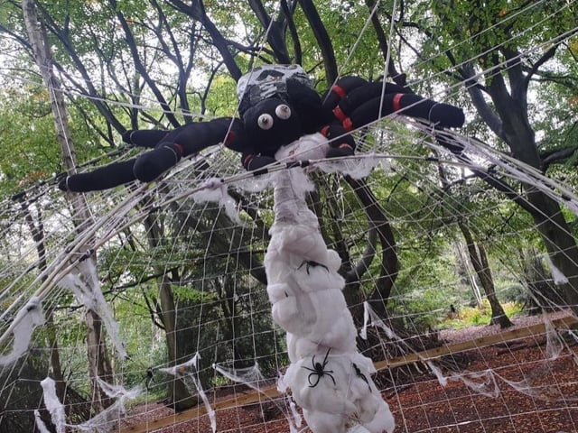 To mark Halloween, the ever-popular White Post Farm in Farnsfield is taking some of its more unusual, even spooky, animals along to Rufford Abbey next Wednesday. From 10 am to 3.30 pm, families will be able to meet a selection of creepy critters and fluffy friends and find out all about them in a fun event.