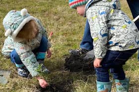Tree-planting volunteers are needed to help create a new woodland in Brinsley.