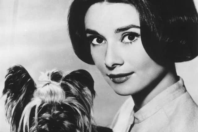 Audrey Hepburn (1929 - 1993) pictured in 1959 with her pet dog (photo by Keystone/Getty Images)