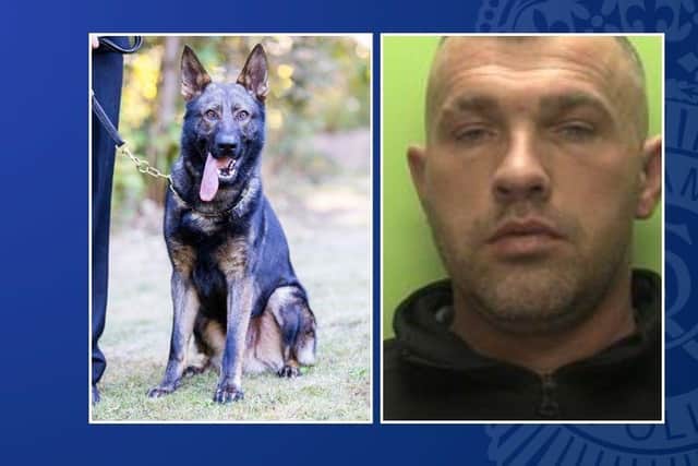 PD Max and John Foster