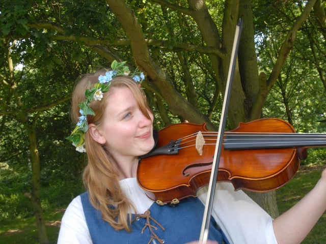 Music in the forest by the Crazy Dutch Regulars.