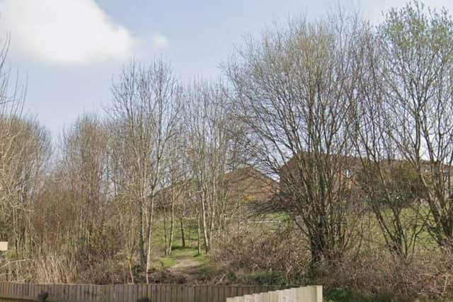 Residents are concerned that more than 40 trees could be cut down on land behind Thorn Drive in Newthorpe. Photo: Google