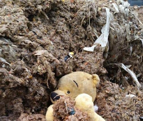 Winnie the Pooh discovered by Severn Trent.