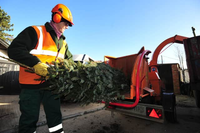 Real Christmas trees can be recycled.