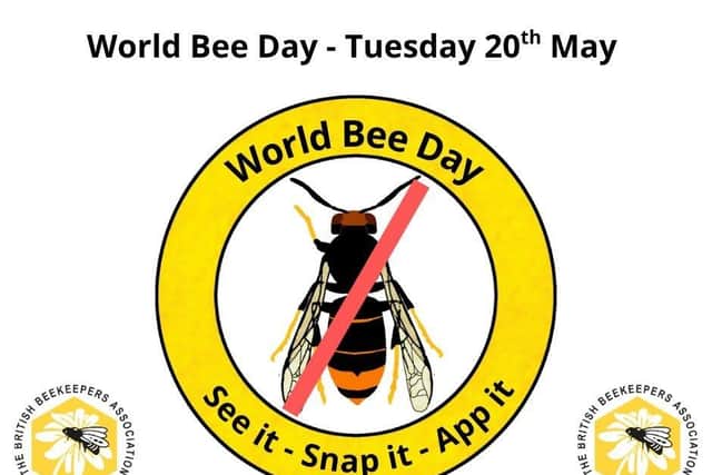 Graphic issued by the BBKA - The British Beekeepers Association on World Bee Day.