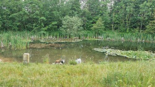 Enjoy winding through Poulter Country Park along this family friendly trail taking in the wildflowers in the meadows and the wildlife in the woodlands and along the edge of the water. Rated: Moderate.