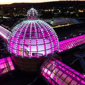 Meadowhall is being lit up pink to mark Organ Donation Week (pic: Meadowhall)
