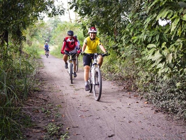 Cyclists will be in their element at The Dukeries from Saturday to Monday because it is hosting a two-night cycling tour/mini-holiday with overnight accommodation. Run by Zig Zag Tours, The Dukeries Weekender includes picturesque bike rides of 15 to 20 miles in the heart of Sherwood Forest each day, with a stay at a nearby youth hostels.