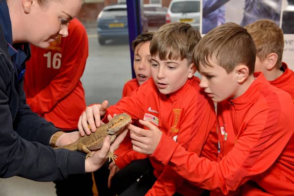 Teversal FC Under 12's visit sponsors Vets4Pets in Kirkby, where the boys meet some exotic pets.