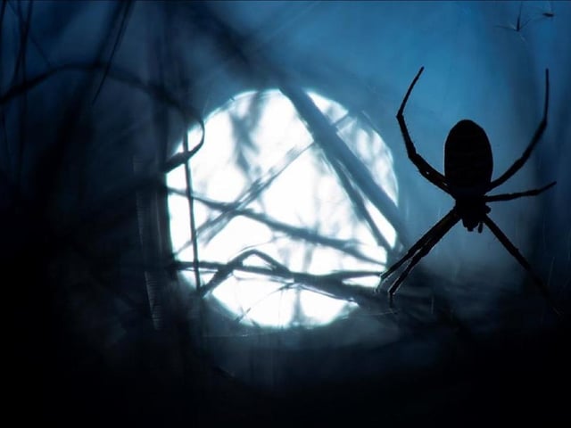 Are you ready to embark on a spine-tingling journey through the depths of Sherwood Forest, cracking cryptic clues to aid your escape? The forest is turning into a natural escape room for one night only on Saturday (7 pm to 10 pm). Your mission, should you choose to accept it, is to navigate the woodland under the cover of darkness and locate hidden clues that will guide you to safety. But beware!.......sinister outlaws lurk in the shadows to thwart you! Strictly for adults only.