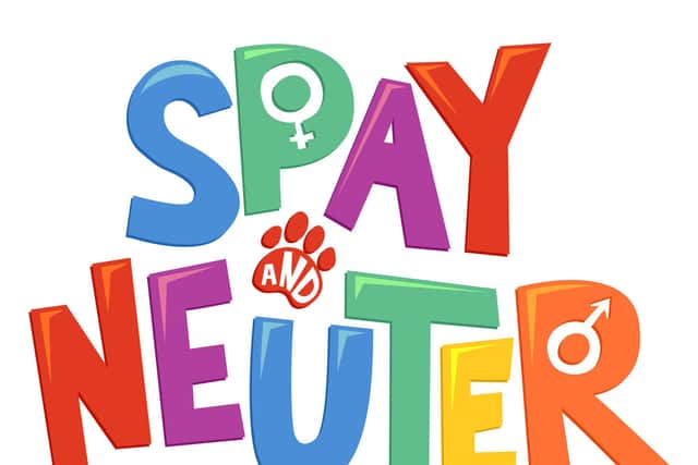 Spaying pets helps to protect them from infection (photo: Adobe)
