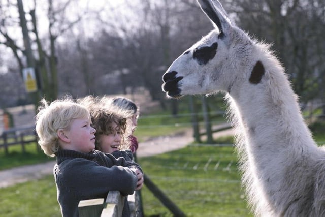Introduce the kids to animals of all shapes and sizes at the White Post Farm Centre in Farnsfield this weekend. The ever-popular centre, which covers about 25 acres of land, is home to more than 3,000 animals, from cows, goats and pigs to llamas, wallabies and reptiles. There are also play areas (indoors and outdoors), trampolines, a sand pit and a go-kart track.