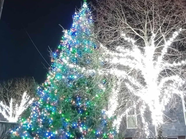 The Christmas tree and surrounding trees were lit up beautifully