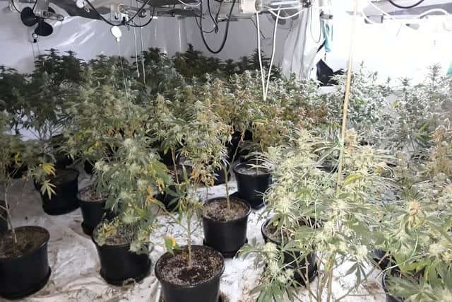More than 200 cannabis plants were discovered growing in three different rooms of a house on Southwell Road East, in Rainworth, when police carried out a warrant on March 19, last year.