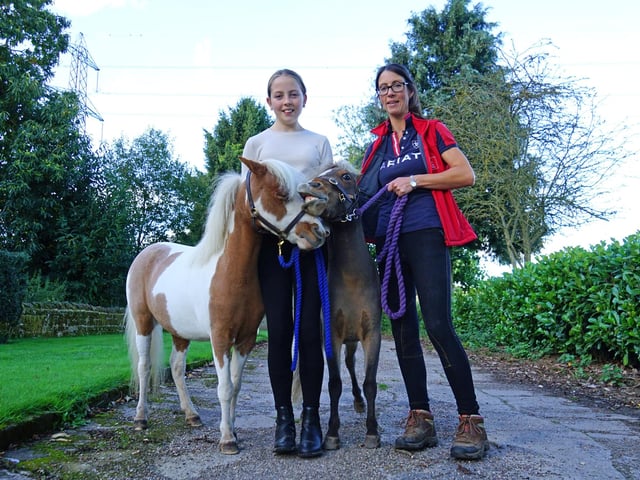 New wellbeing business, Lamb Pens Farm at Kings Clipstone . Owner Jo Shaw-Brown, Elise Shaw-Brown with Dream and Ocean.