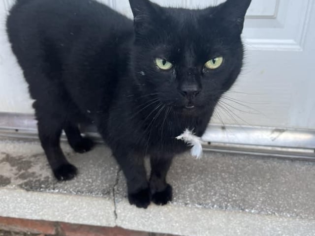 Toby is well-known in Mansfield Woodhouse.