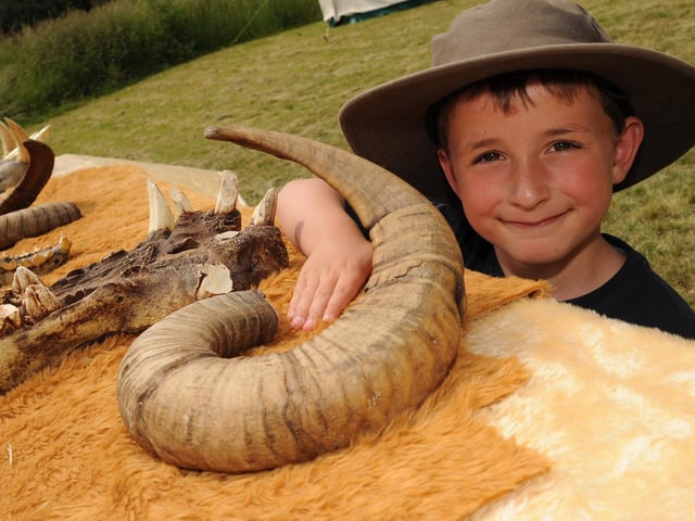 Creswell Crags, Creswell. The new centre has been open for one year.  To celebrate, the centre held various activities and displays in 2010. Picture: Daniel Corey, seven, examines a mouflon sheep horn.