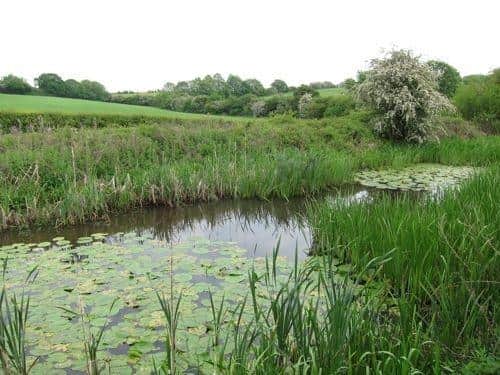 Nottingham canal at Cossall, Nottinghamshire