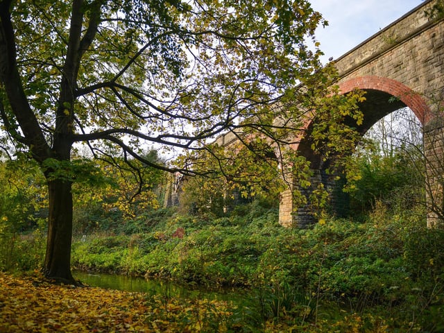 Autumnal Mansfield