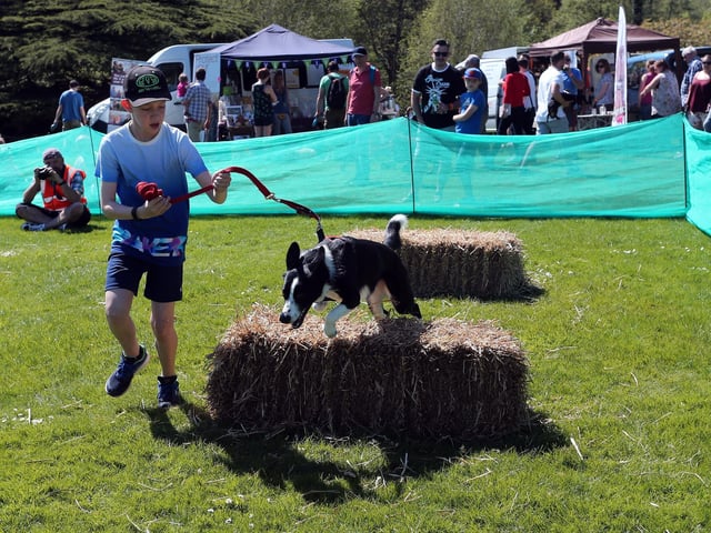Jack Giblett and Dottie  took part in the hay bale race at Newstead Abbey's Glastonjerry Festival in 2018.