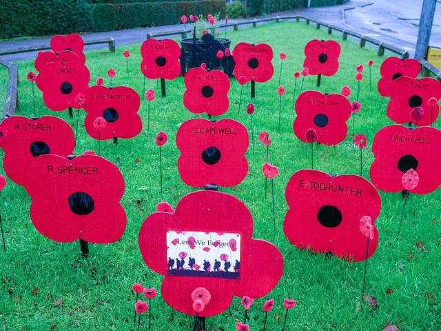 Poppies featuring names of the fallen ones.