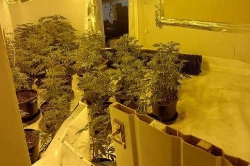 Some of the drugs recovered.