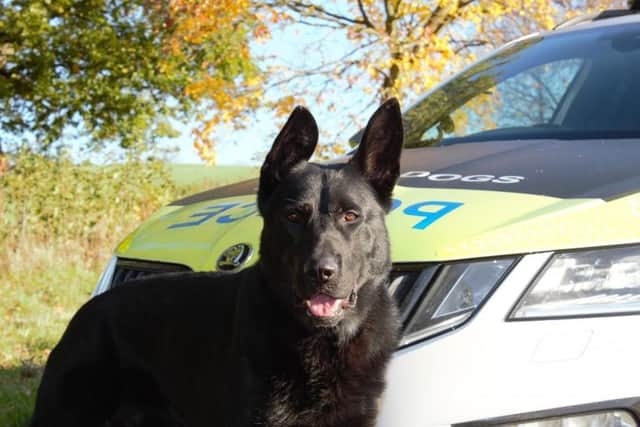 PD Reno helped officers arrest three theft suspects