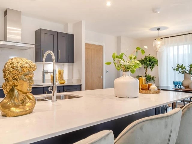 The property has an ample space for a growing family to enjoy