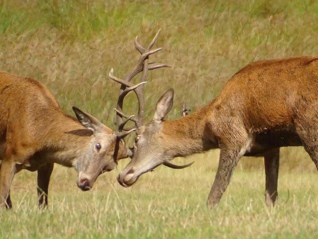 Nature photography was one of the activities enjoyed by animal care students at Wollaton Hall