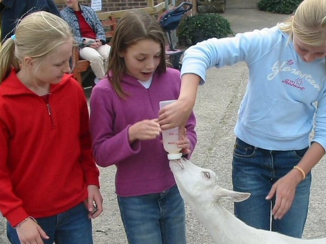 Feeding time - did you visit 14 years ago?