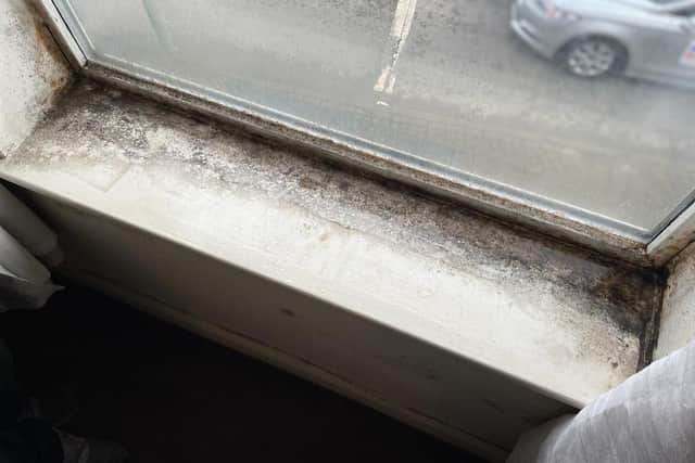 A mouldy window sill in the property.
