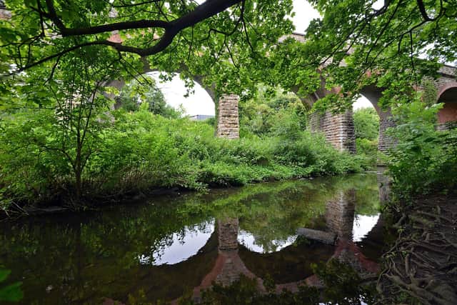 Cases of bird flu have been identified at Quarry Lane Nature Reserve
