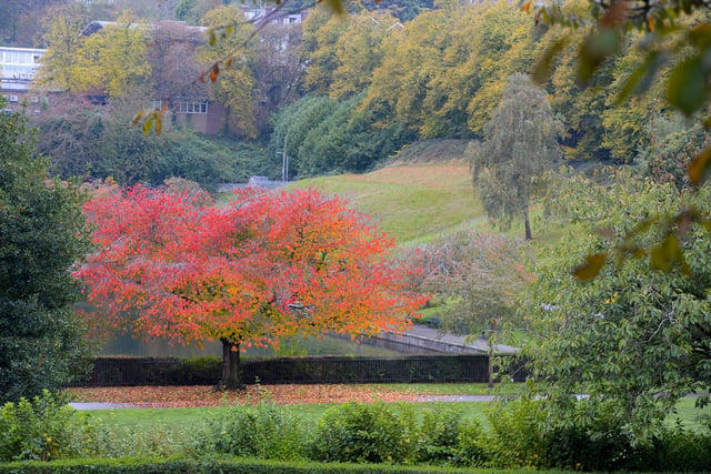 This 11.9 acre park has some particularly great trees for autumn colour around the lake.