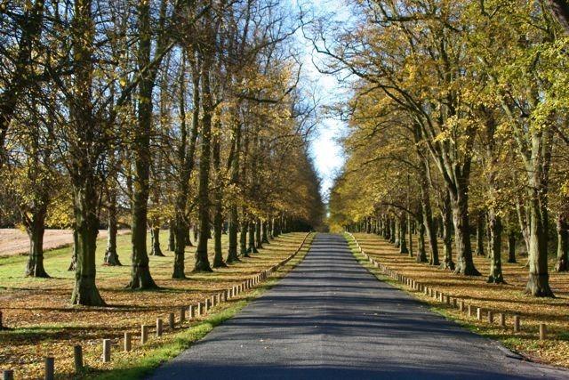 Enjoy this varied longer trail taking in a great mix of sights and terrains as you make your way round the towns and countryside. This trail is great for mountain biking and running, and it's unlikely you'll encounter many other people while exploring. Rated: Moderate.