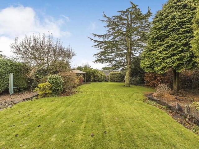 The back garden at the £475,000 bungalow is surrounded by mature trees, shrubs and bushes.