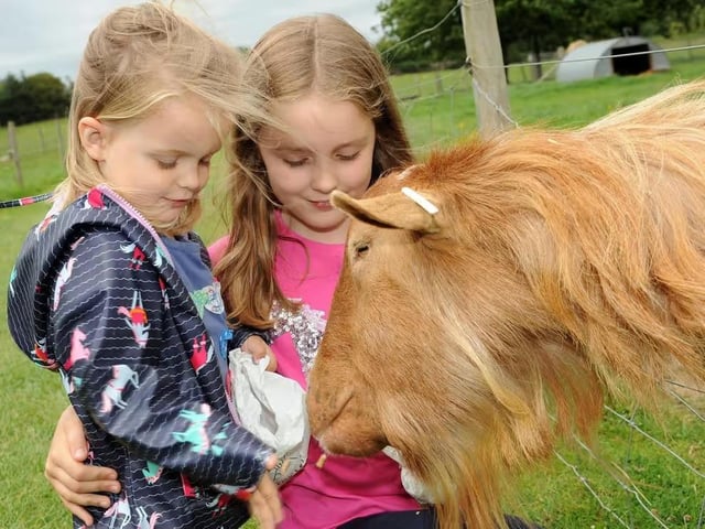 For ‘free-range fun for all the family’, this is the place to be. There are hundreds of species of animals to see and feed and educational talks and activities throughout the day. There is a variety of play equipment, go-carts and shops to browse.