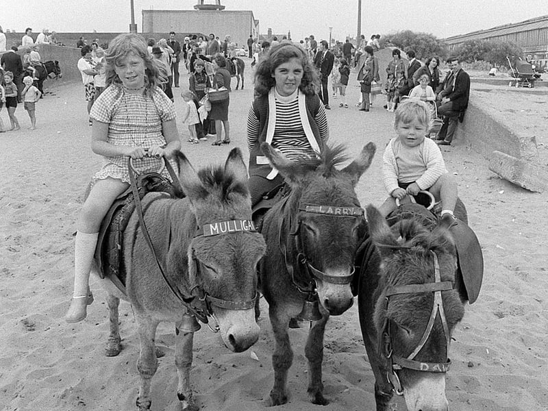 Can you spot any familiar faces enjoying a donkey ride?