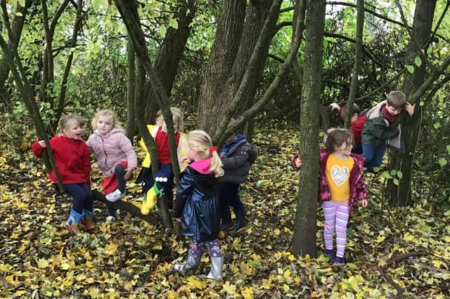 Pupils at Hollywell Primary School have been enjoying spending time in the great outdoors.