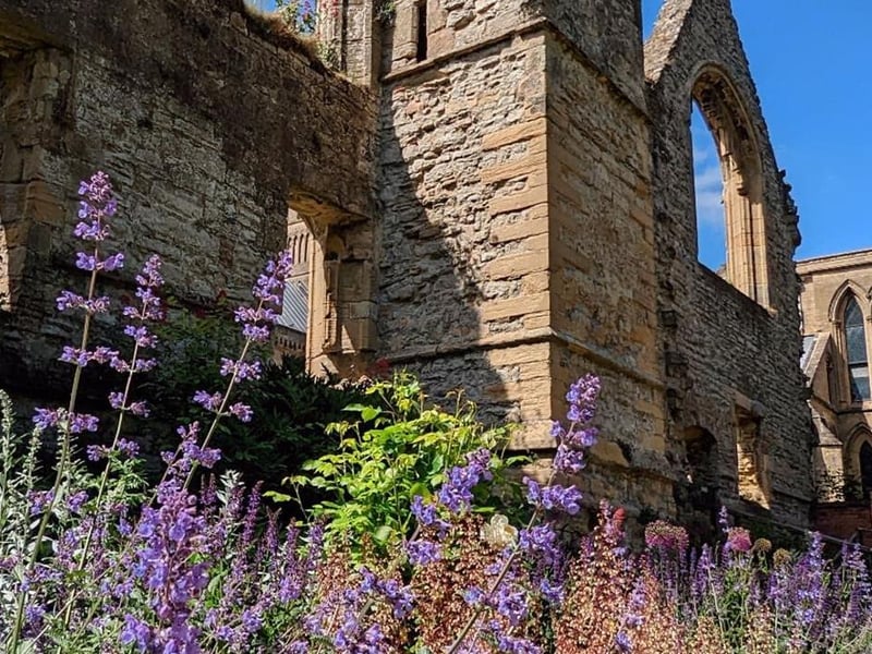 Here's your chance to explore the beautiful Palace Gardens at Southwell Minster on Sunday (11 am to 4 pm). Set among the magnificent ruins of The Archbishop's Palace, the gardens are full of shrubs, flowering plants, mature trees, lawns, medieval herbs and sculptures, with grasslands, wild flowers and orchids at Potwell Dyke a short walk away. The open day is part of the National Garden Scheme to raise money for nursing and health charities.