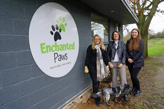 Enchanted Paws daycare for dogs. Samantha Nixon, Gina Buxton (owner) and Connie Wilkinson.