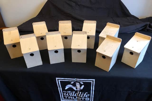 The freshly-made bird boxes lined up and ready to go.