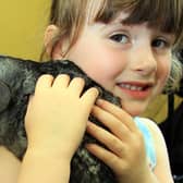 2012: Grace Dennis, aged four, is pictured with George the chinchilla at the DH Lawrence Heritage Centre's wildlife workshop event.