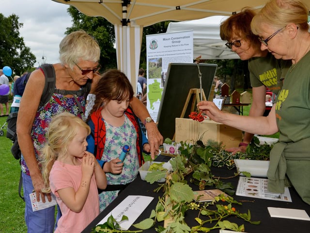 Ann Childs with grandchildren Leah Childs, seven and Jessica Childs, four at Mansfield Summer Festival at Titchfield Park