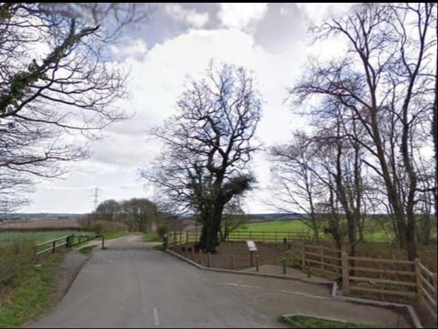 The Parliament Oak is a veteran tree on Peafield Lane and is said to have been the site for impromptu-parliaments held by kings John and Edward I.