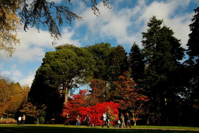 Visitors walk through Westonbirt Arboretum in the Cotswolds near Tetbury. Picture: Dan Istitene/Getty Images.