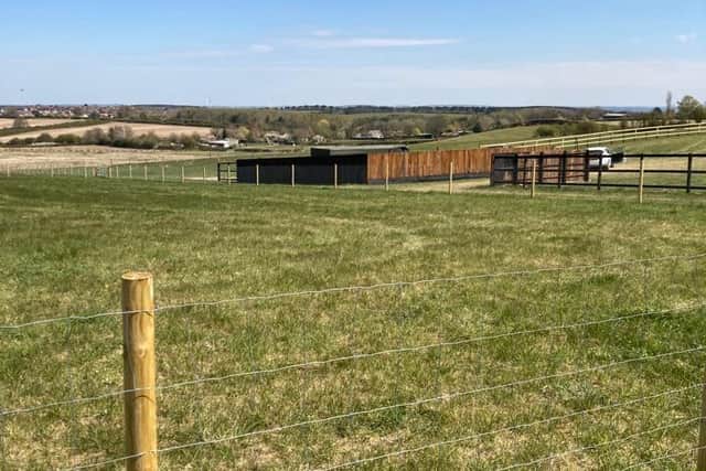 The paddocks are off New Lane, Blidworth - and home to 33 horses.