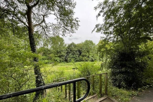 Quarry Lane Nature Reserve in Mansfield.