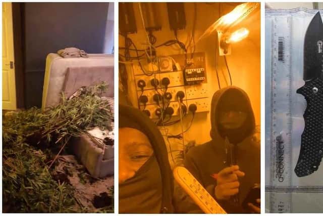 Members of the group posed on videos with weapons while raiding the crop