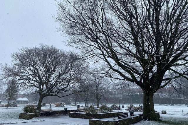 The park looks beautiful in the snow